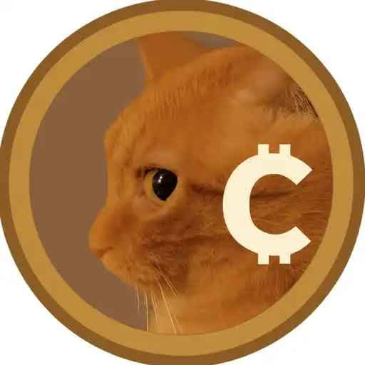 CryptoRickBro's tweet photo. we will make money back by buying this bet
buy to dip 100k 
#cate
6EomZTZ1UozqA5FTvuUqkTDL7U17mauRNMkz6KTFbonk https://t.co/LqOVohFft2