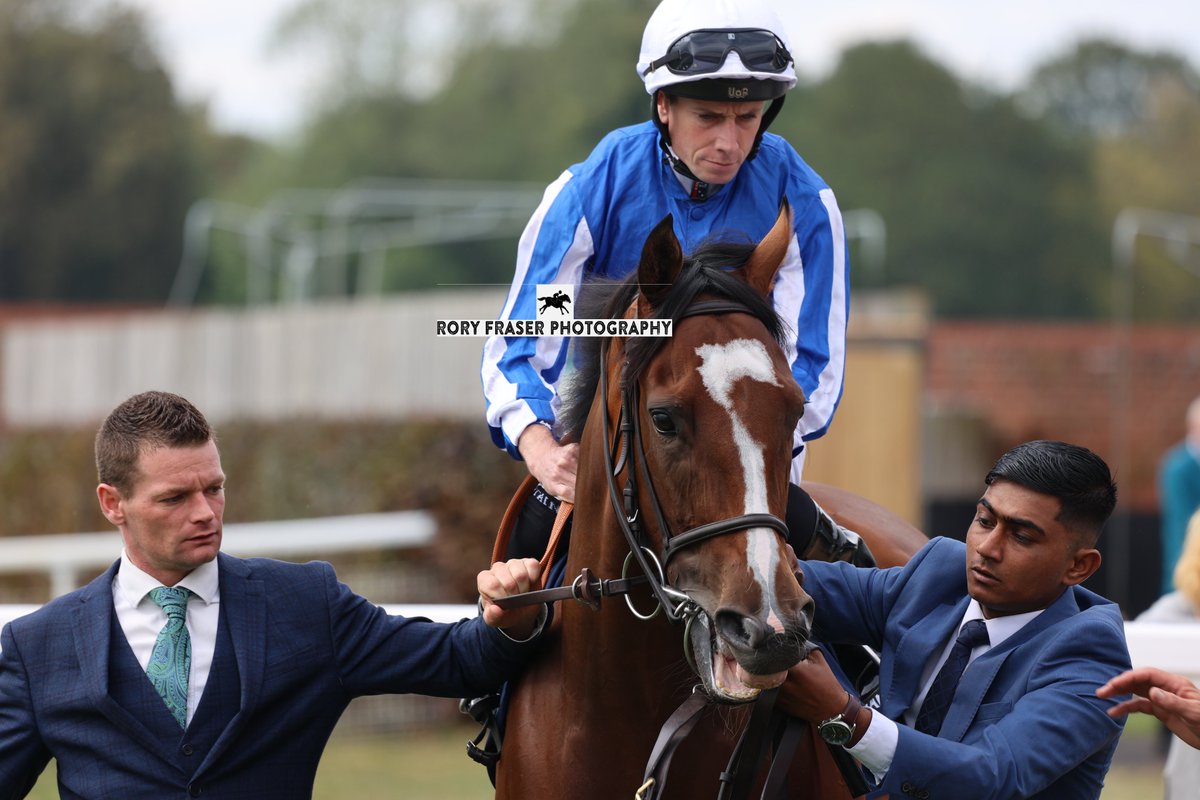Rory Fraser Photography🤘 (@92roryf) on Twitter photo SAYIDAH DARIYAN (Dariyan x Tencaratrubieslace) at York recently for the Group One Nunthorpe Stakes (5f)
Trained by <a href="/RHughesracing/">Richard Hughes</a> and owned by Jaber Abdullah.
A three time winner in eight starts, including the Gr. 3 Summer Stakes in July. SAYIDAH DARIYAN (Dariyan x Tencaratrubieslace) at York recently for the Group One Nunthorpe Stakes (5f)
Trained by <a href="/RHughesracing/">Richard Hughes</a> and owned by Jaber Abdullah.
A three time winner in eight starts, including the Gr. 3 Summer Stakes in July.