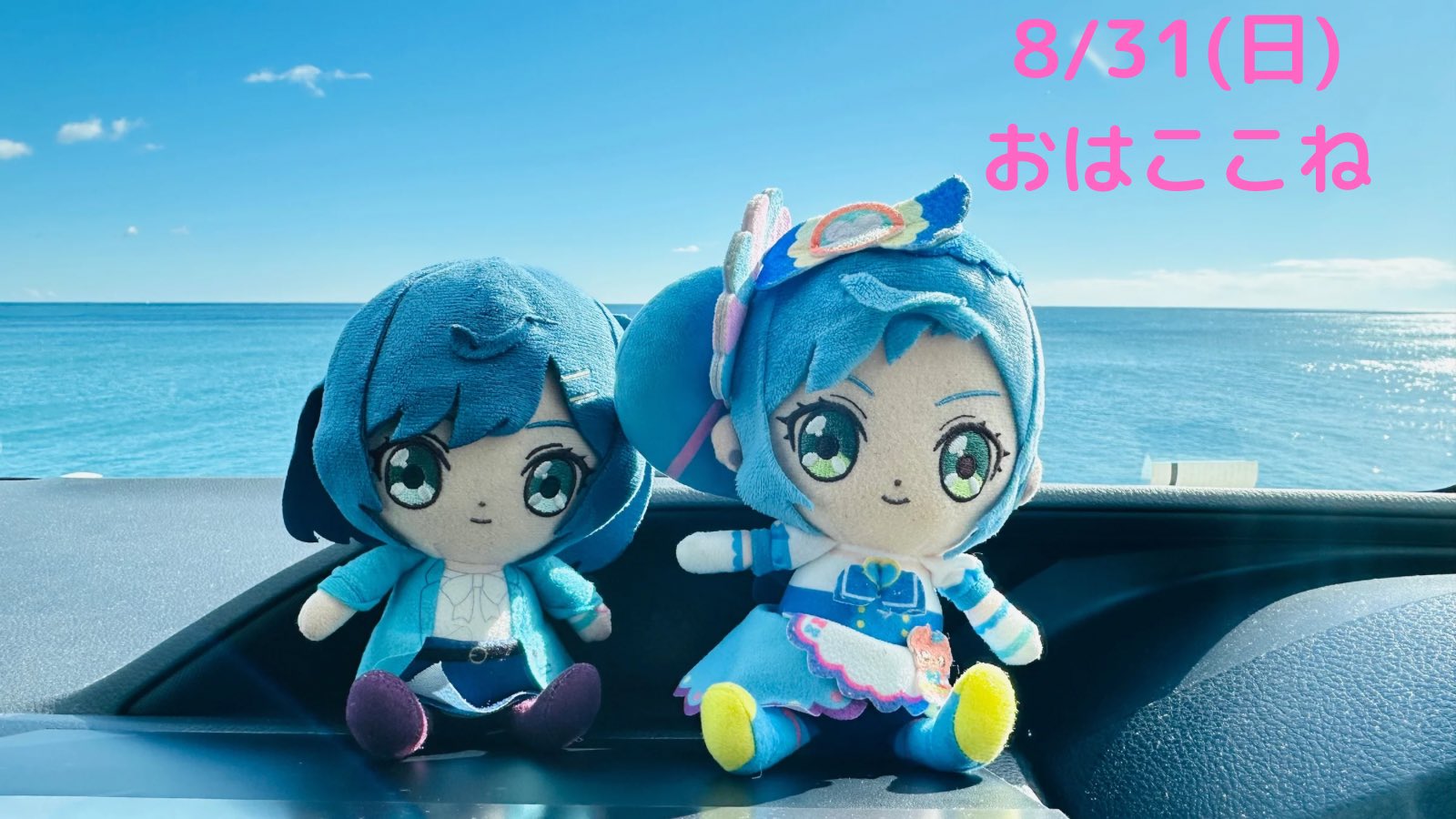 任天堂 - キュアサマーずさん専用 S.H.Figuarts キュアブルーム＆満セット | プリキュア