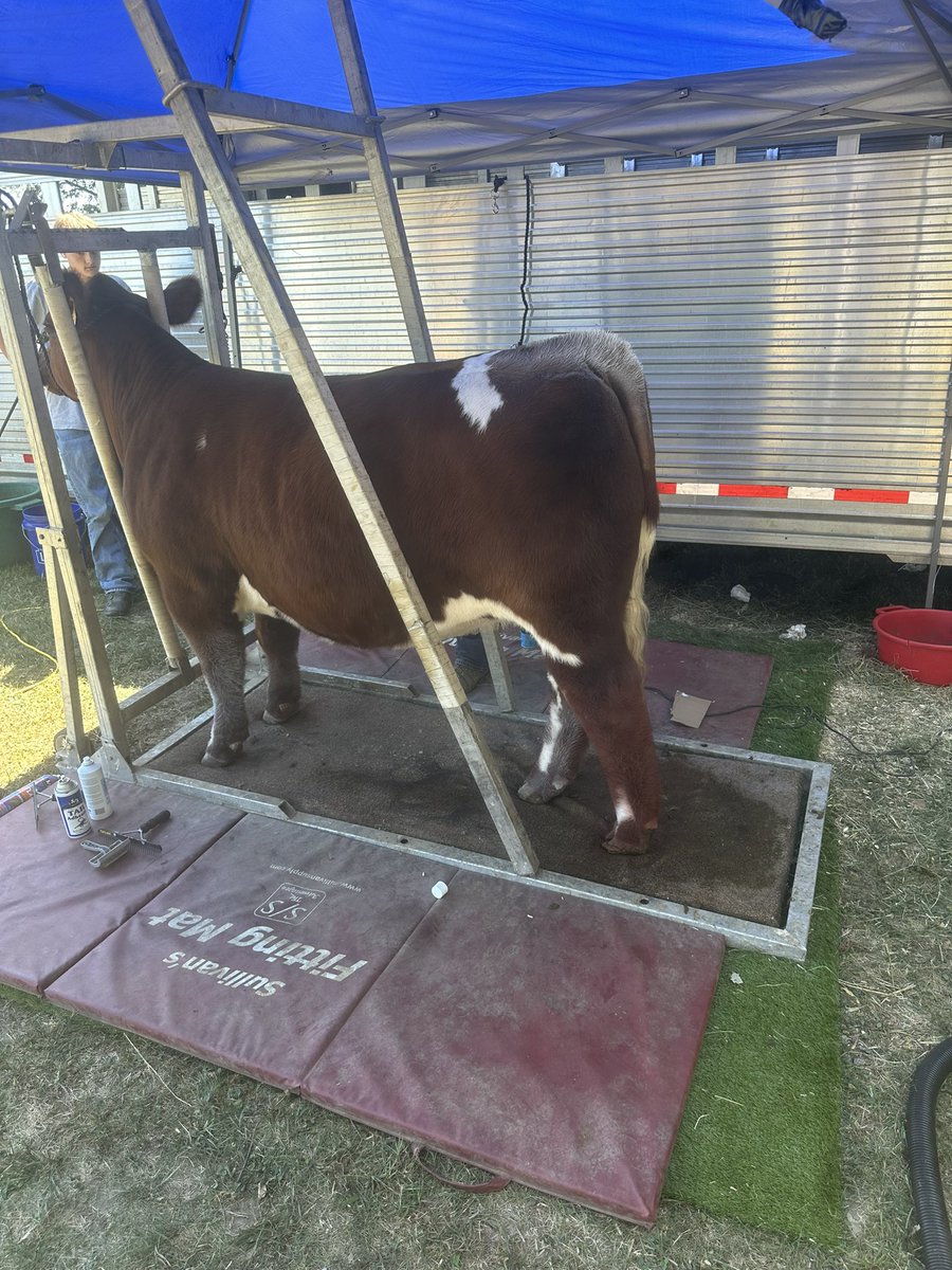 Bodie Kitchel tweet media