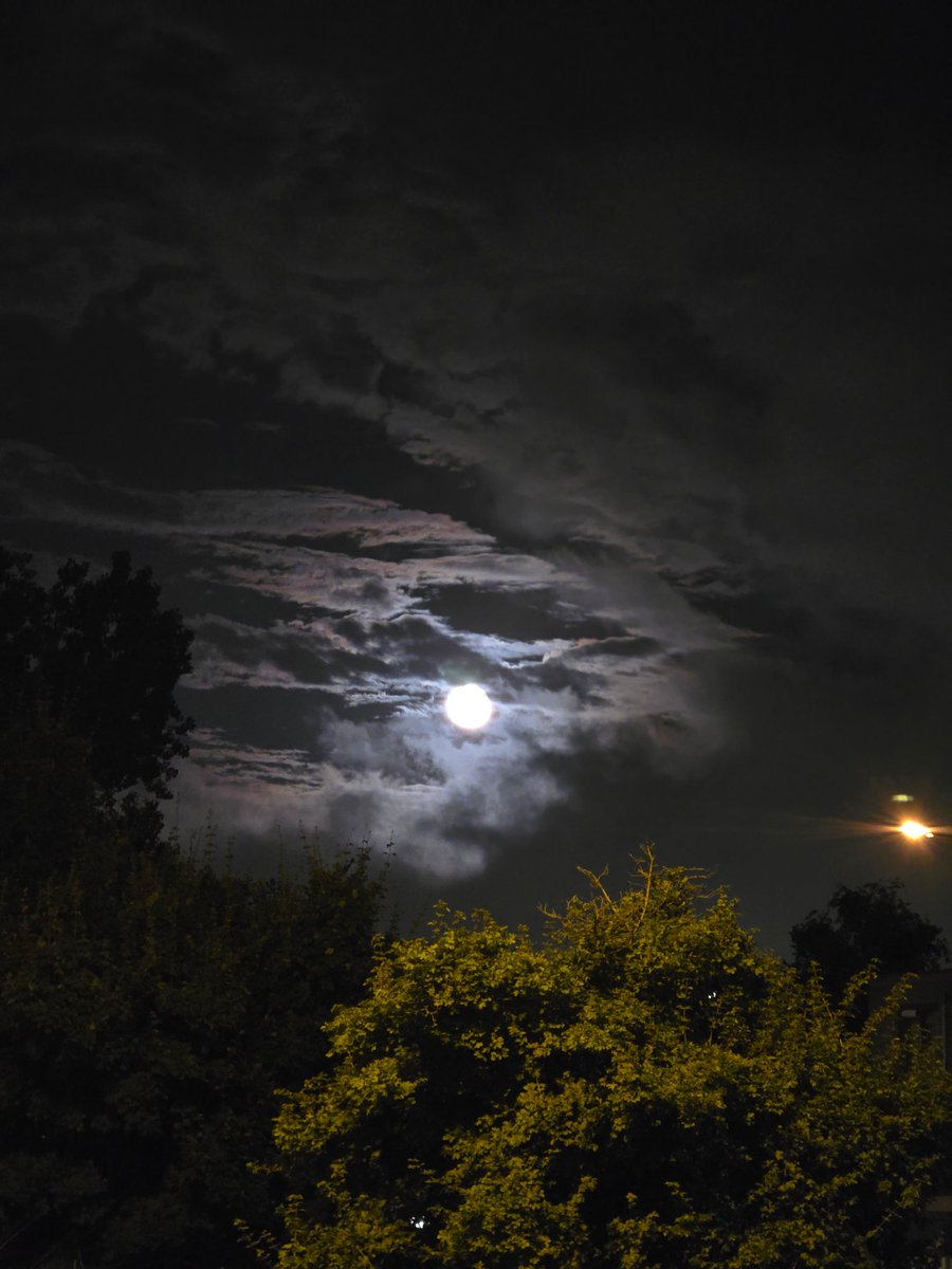 __usercall's tweet image. kill the circle of the idol