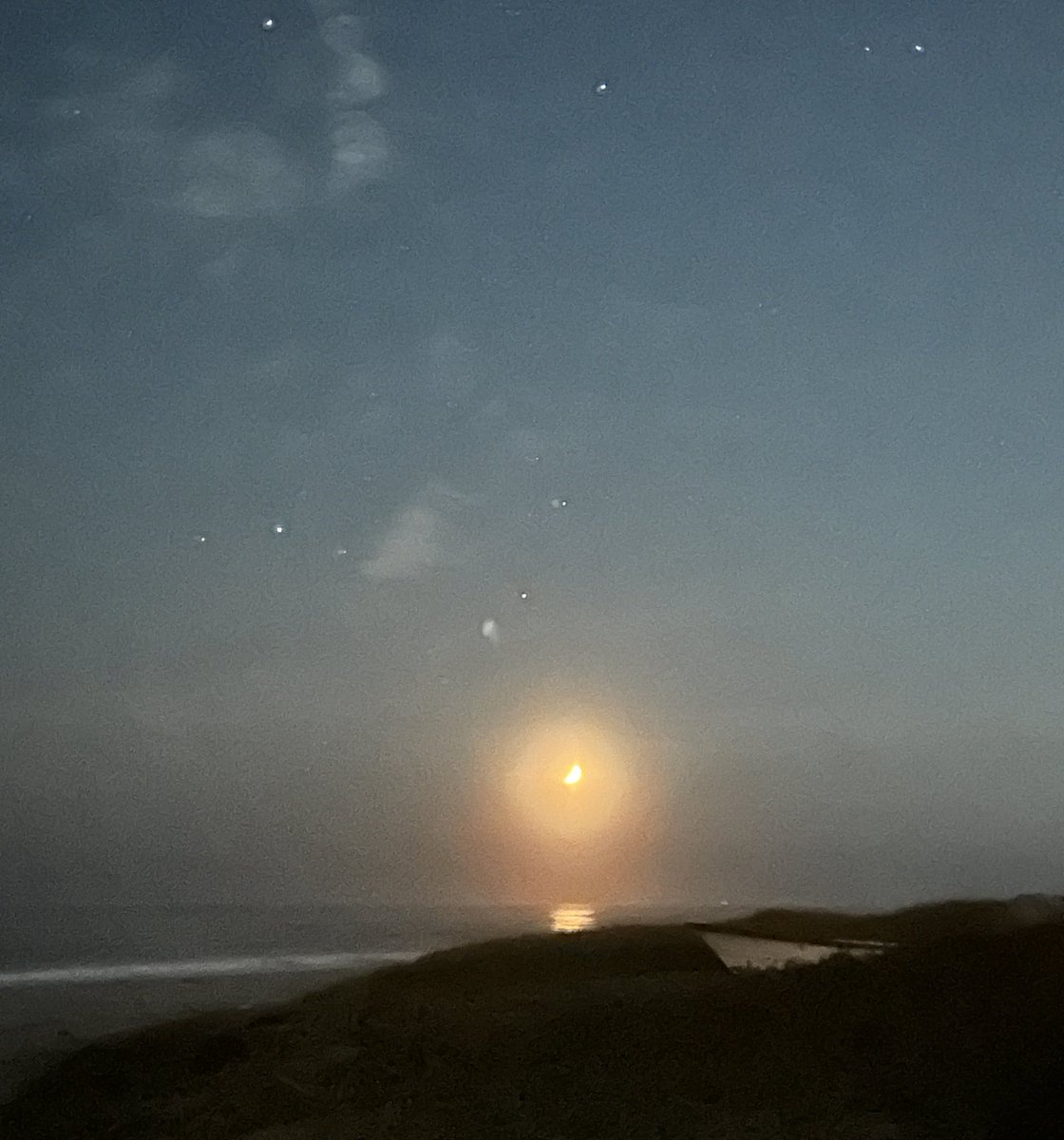 初めて訪れたけれど、想像以上に素敵な所。壁一面ずらっと本が埋め尽くしてて、その一角にとりぱんコーナー発見！お店の雰囲気も、オーナーさんも最高。ここでコンサート、、実現できるように頑張ります✨
大好きが同じってこんなに嬉しいとは。話が尽きなくて、陽が沈むまでお話ししました。