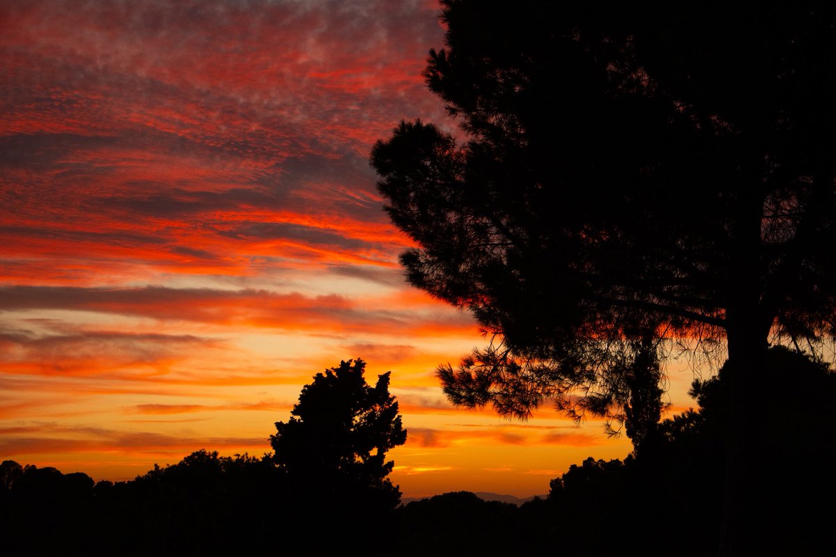 crisalmar11's tweet image. Cerrando agosto… buenas noches #SierraCalderona