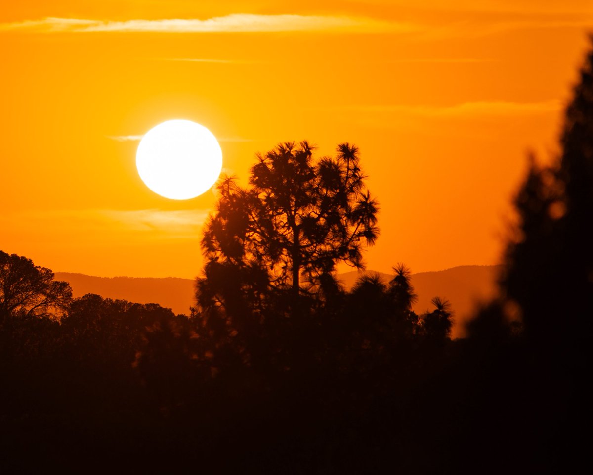 crisalmar11's tweet image. Cerrando agosto… buenas noches #SierraCalderona