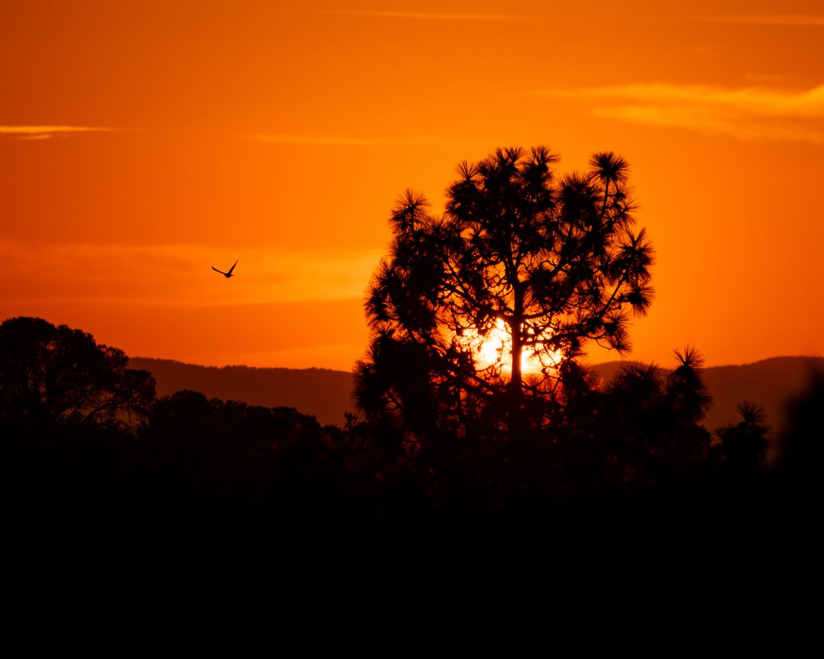 crisalmar11's tweet image. Cerrando agosto… buenas noches #SierraCalderona