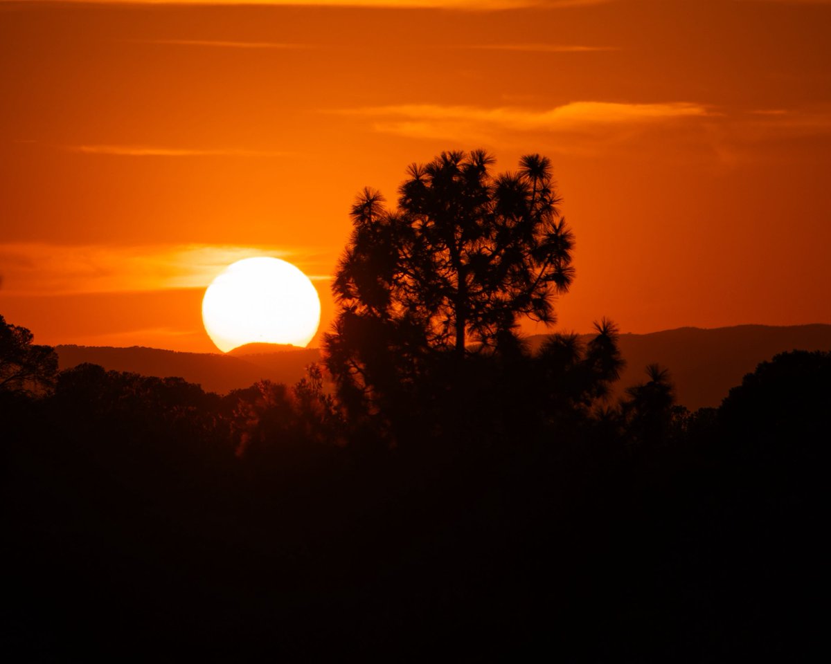 crisalmar11's tweet image. Cerrando agosto… buenas noches #SierraCalderona