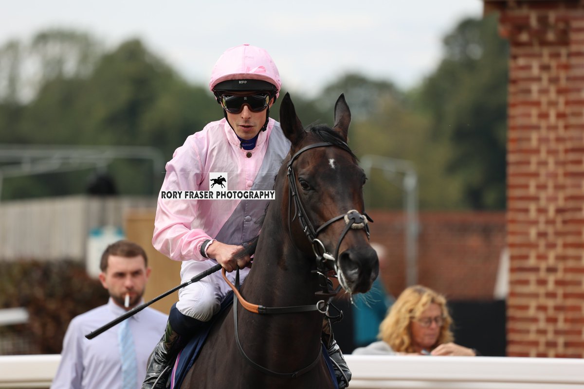 Rory Fraser Photography🤘 (@92roryf) on Twitter photo MGHEERA (Zoustar x Blue Aegean) at York recently for the Group One Nunthorpe Stakes (5f)
Trained by <a href="/edwalkerracing/">Ed Walker Racing</a> and owned by Lord Lloyd-Webber & Arthur Mitchell.
Winner of two of her four starts this year, including the Temple Stakes at Haydock in May. MGHEERA (Zoustar x Blue Aegean) at York recently for the Group One Nunthorpe Stakes (5f)
Trained by <a href="/edwalkerracing/">Ed Walker Racing</a> and owned by Lord Lloyd-Webber & Arthur Mitchell.
Winner of two of her four starts this year, including the Temple Stakes at Haydock in May.