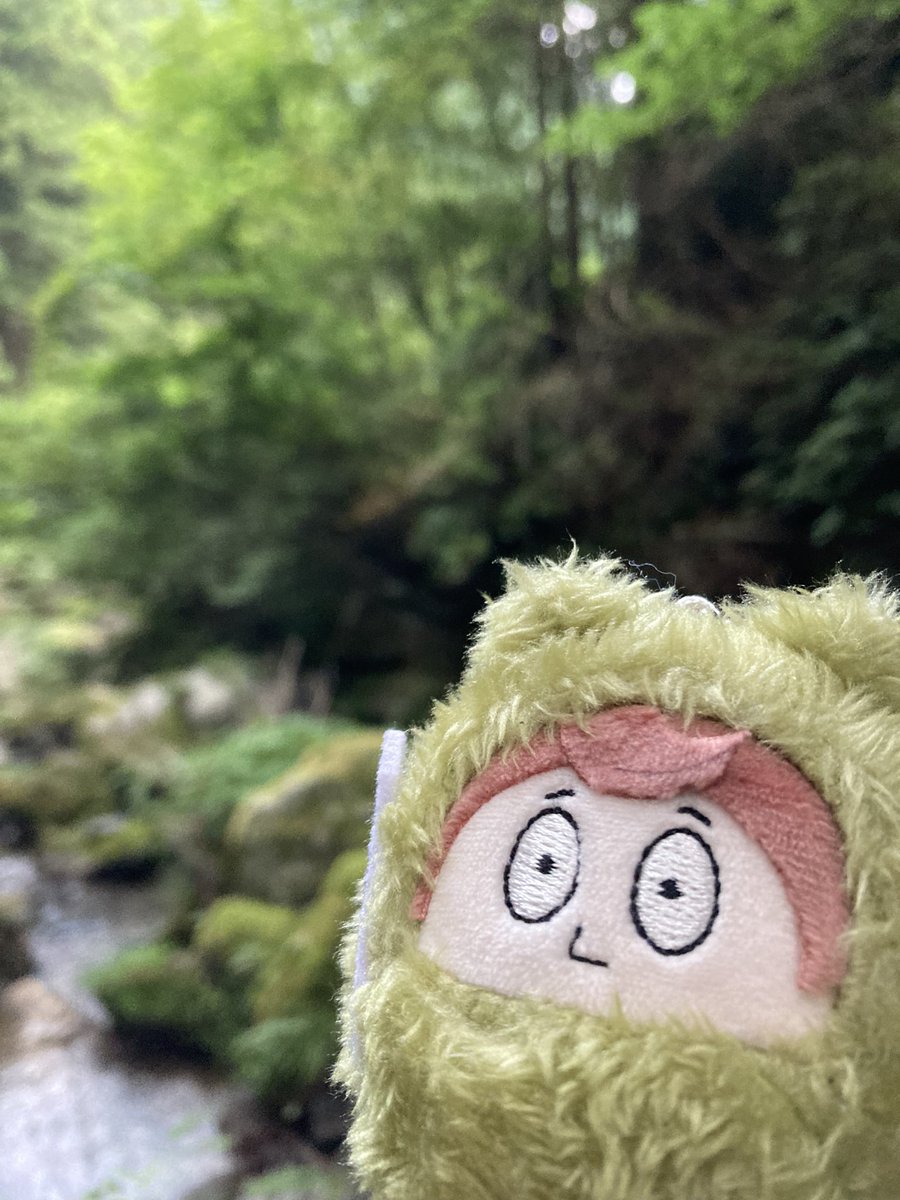 青人手 tweet media