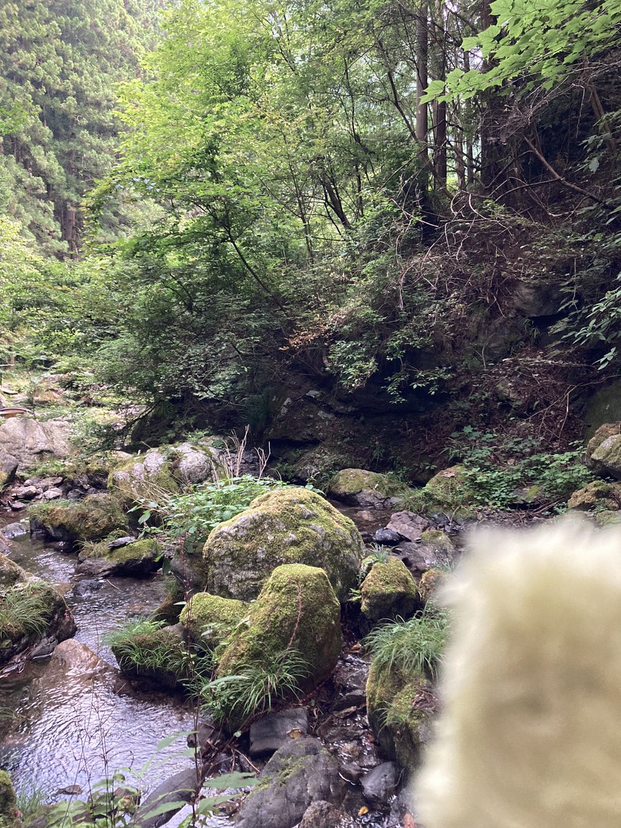 青人手 tweet media