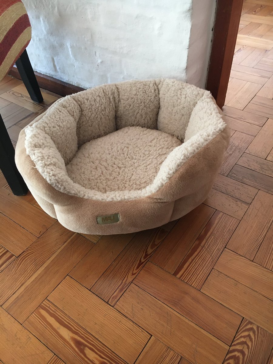 paciniml's tweet photo. @SoyVete La cama que le compré; la que le gusta. https://t.co/Ltxqo1W811