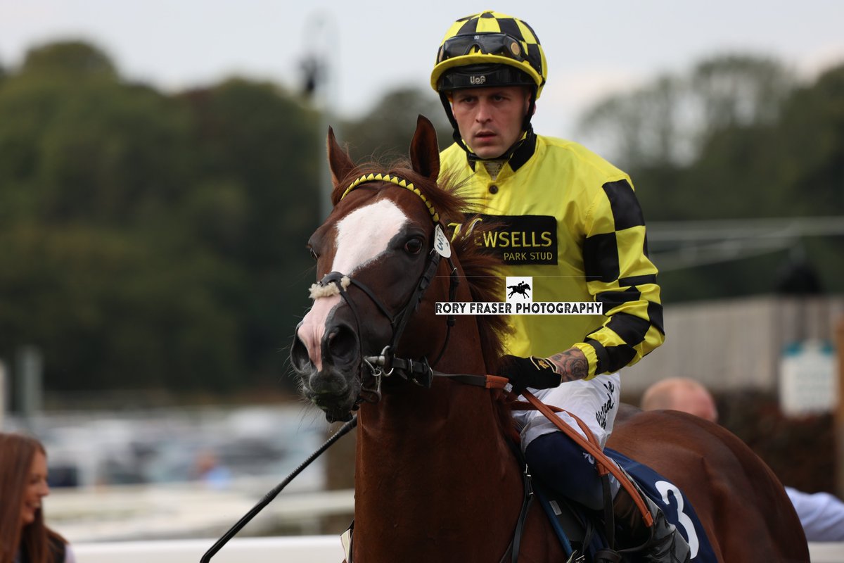 Rory Fraser Photography🤘 (@92roryf) on Twitter photo MANACCAN (Exceed and Excel x Shryl) at York recently for the Group One Nunthorpe Stakes (5f)
Trained by <a href="/JohnRyanRacing/">John Ryan Racing</a> and owned by Newsells Park Stud
A five time winning six year old, including a Group Three in 2022 before injury. MANACCAN (Exceed and Excel x Shryl) at York recently for the Group One Nunthorpe Stakes (5f)
Trained by <a href="/JohnRyanRacing/">John Ryan Racing</a> and owned by Newsells Park Stud
A five time winning six year old, including a Group Three in 2022 before injury.