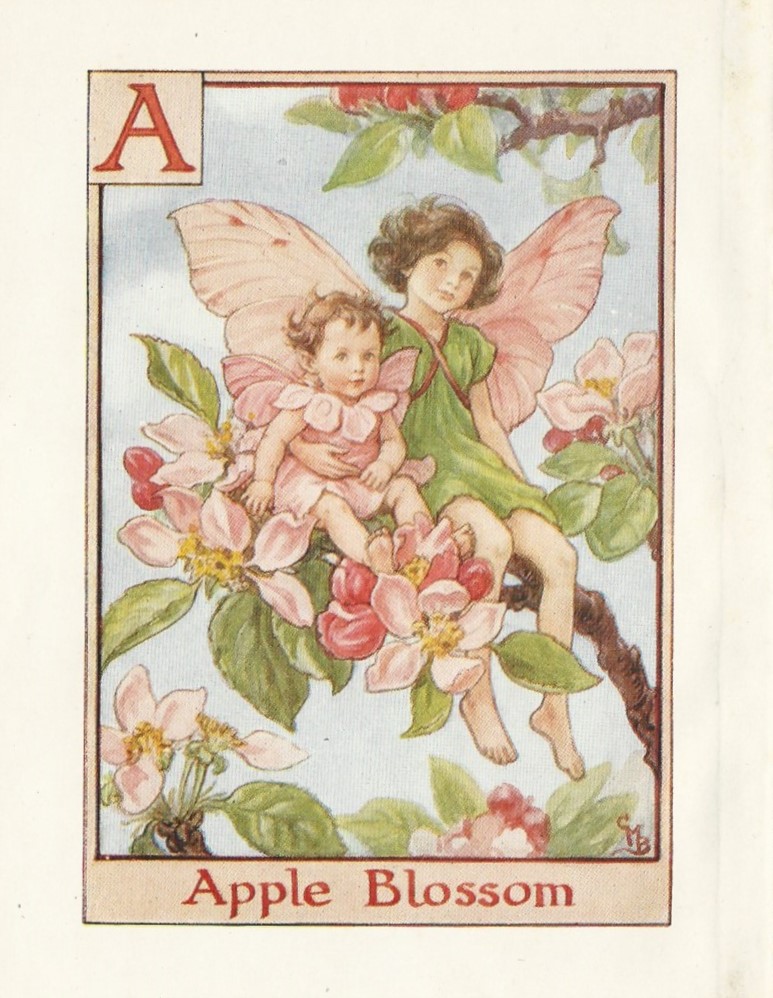 FrontispieceLtd's tweet image. Apple Blossom Flower Fairy from Cecily Mary Barker&apos;s Alphabet Fairies from the #antiqueprints of #frontispiece of #canarywharf.
#flowerfairies #art #childrensbooks #appleblosson #apples #fruit