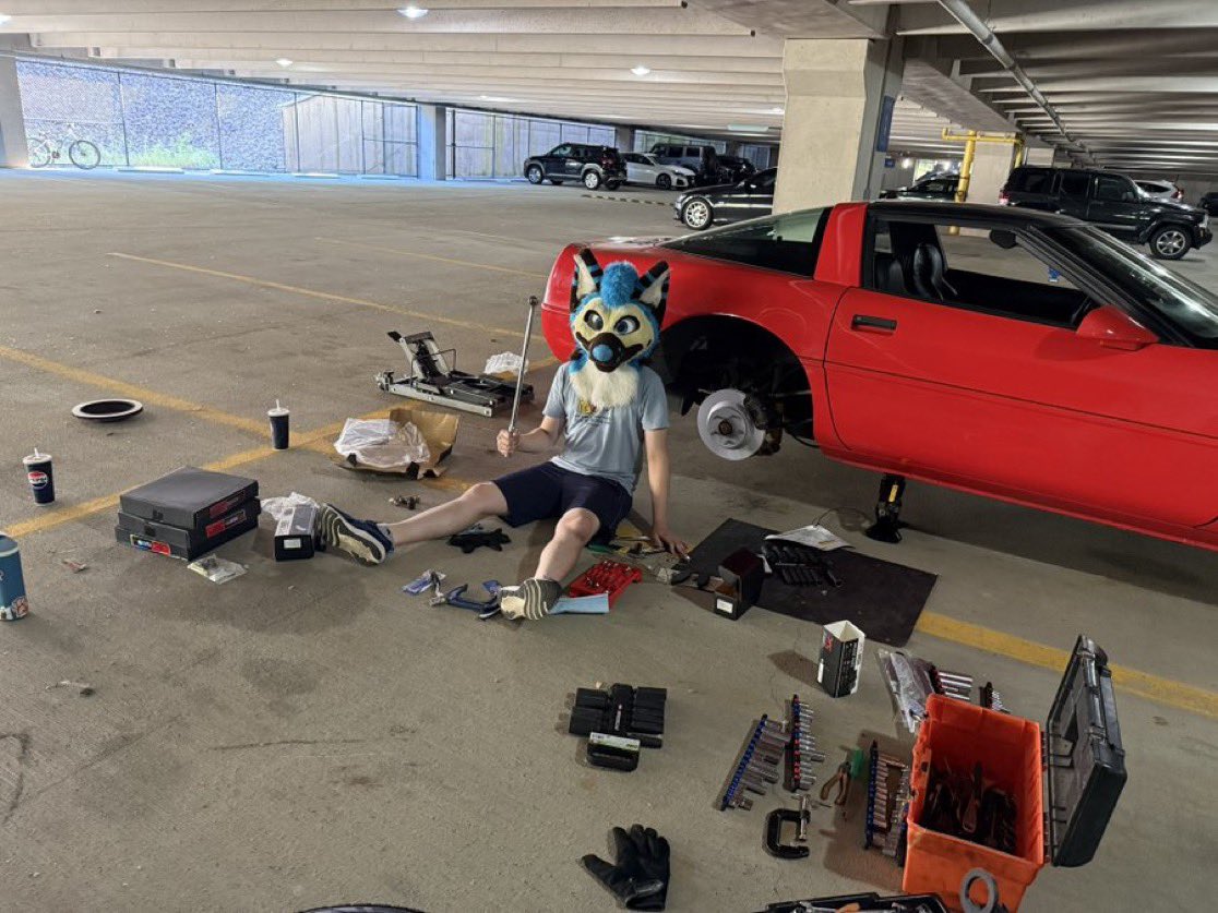 Shep🖌🐾 (@shepgoesblep) on Twitter photo I like this picture because it makes me look like I know what I’m doing (I don’t)
Thanks <a href="/defend_dingo/">Nicolas Cage</a> for the help with my brakes! I like this picture because it makes me look like I know what I’m doing (I don’t)
Thanks <a href="/defend_dingo/">Nicolas Cage</a> for the help with my brakes!