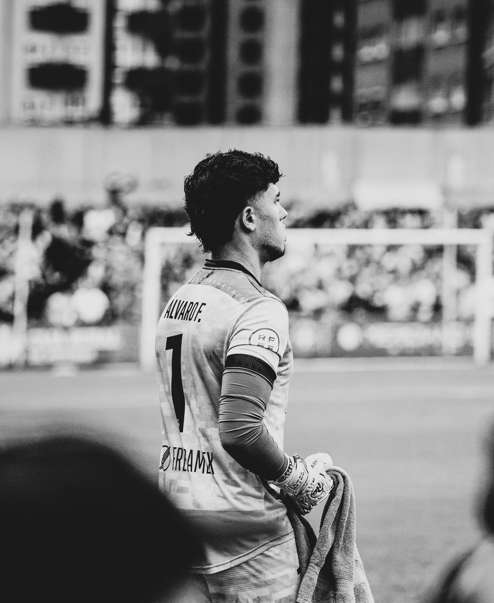 ⏳🔵⚪️🔴🐆