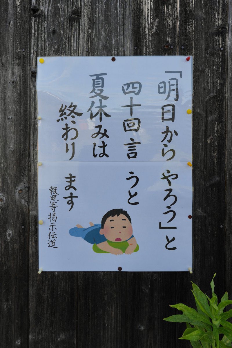 何十回目の夏の終わりを迎える皆さん😌
今日も一日🌻🍉👒🌞