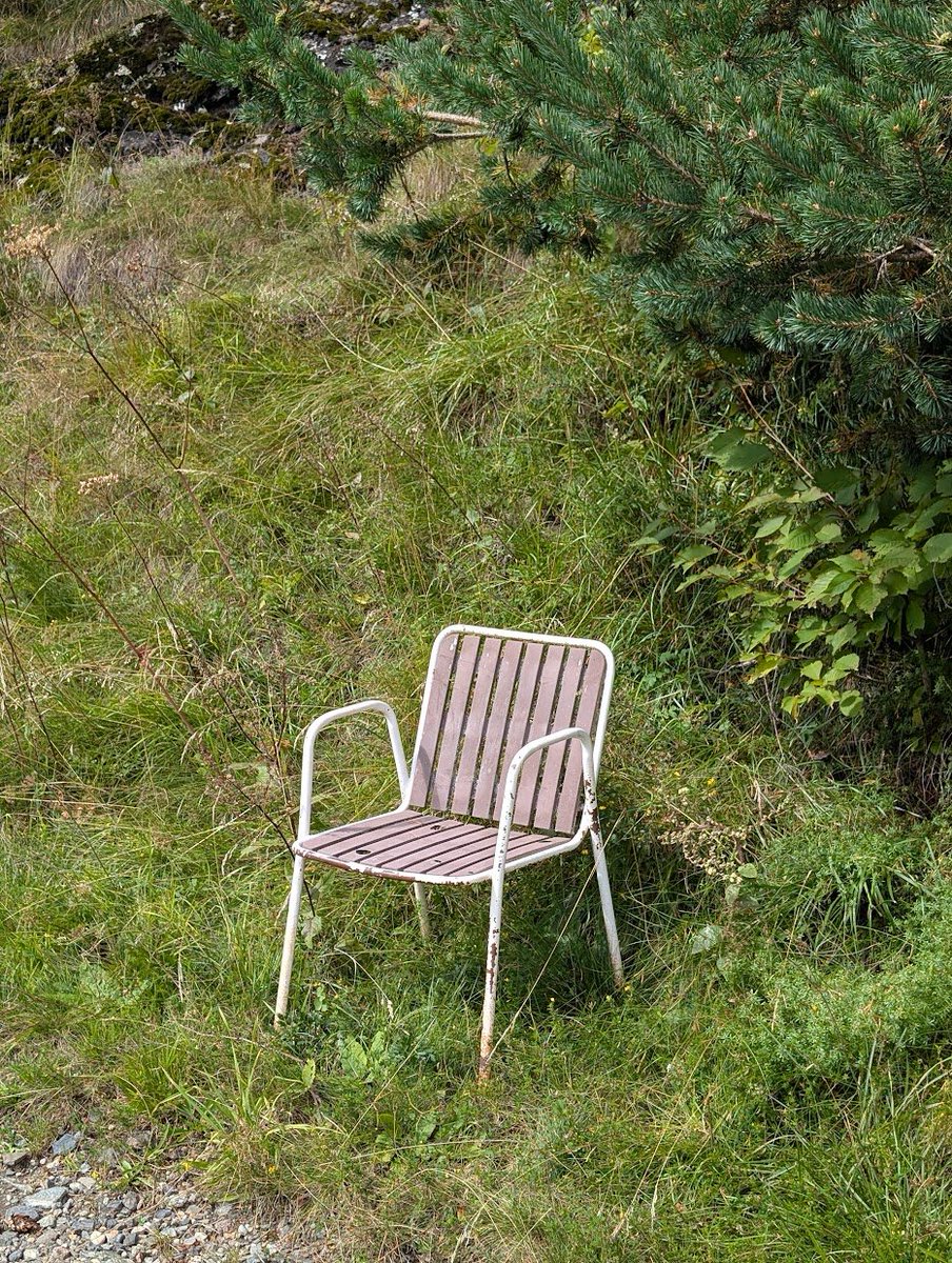 Pescegatti (@dfsc_10) on Twitter photo 