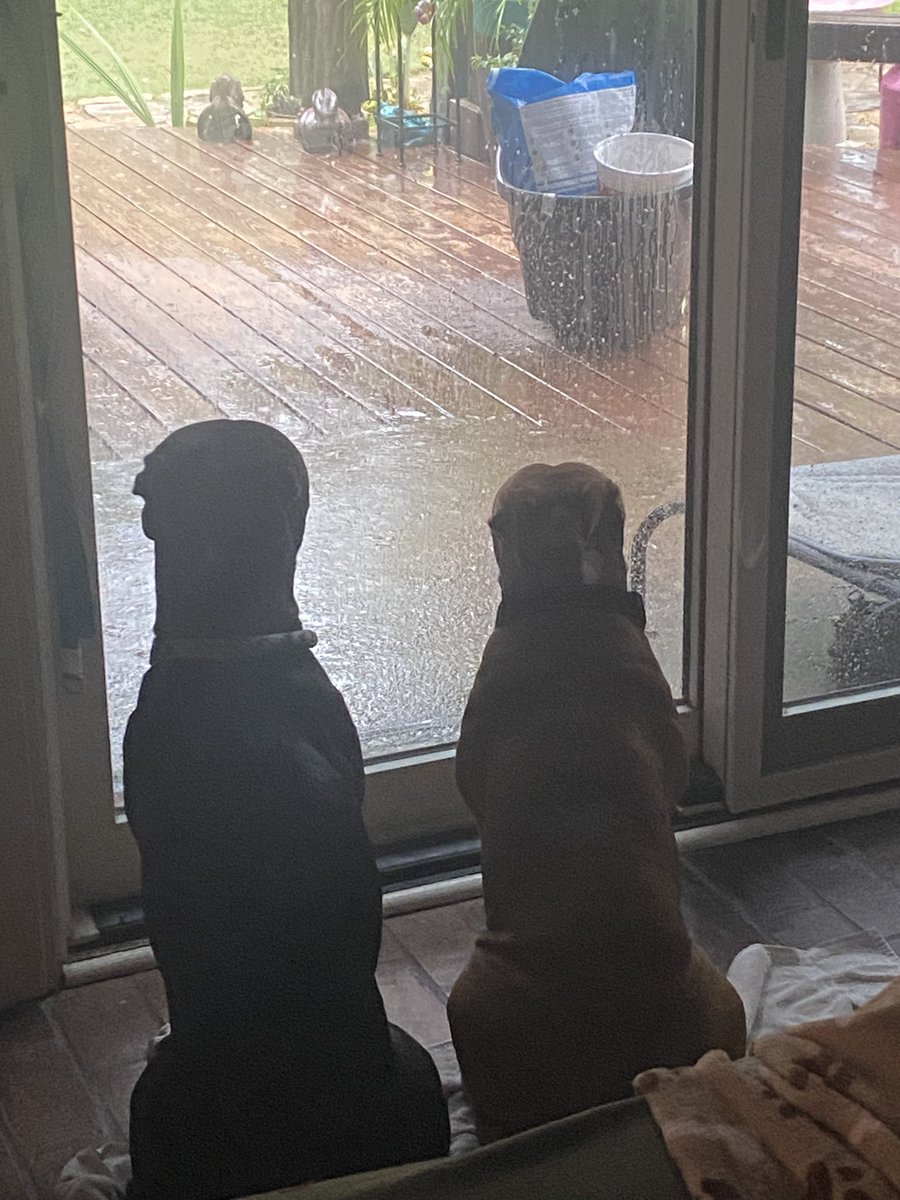 DFWbeerman's tweet photo. Oh rainy day https://t.co/AKg5W3jhqR