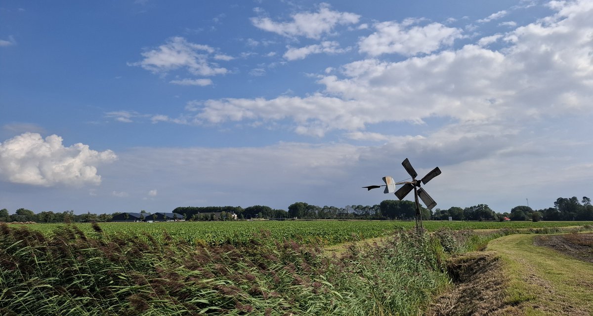 20km circular hike in Province Groningen: Stedum-Westeremden-Loppersum-Garrelsweer-Ten Post-Hemert-Stedum (2)