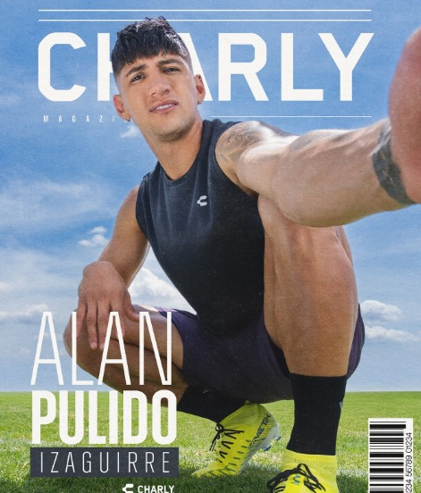 The Blogger tweet media