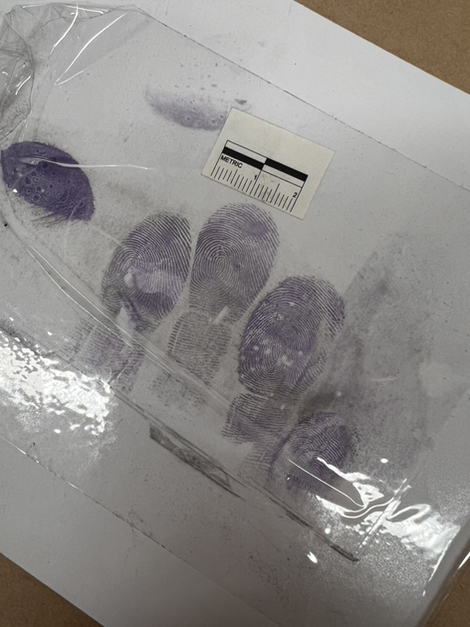 TRITECH FORENSICS tweet media