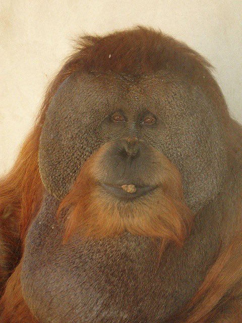 My cousin Pinhead Larry