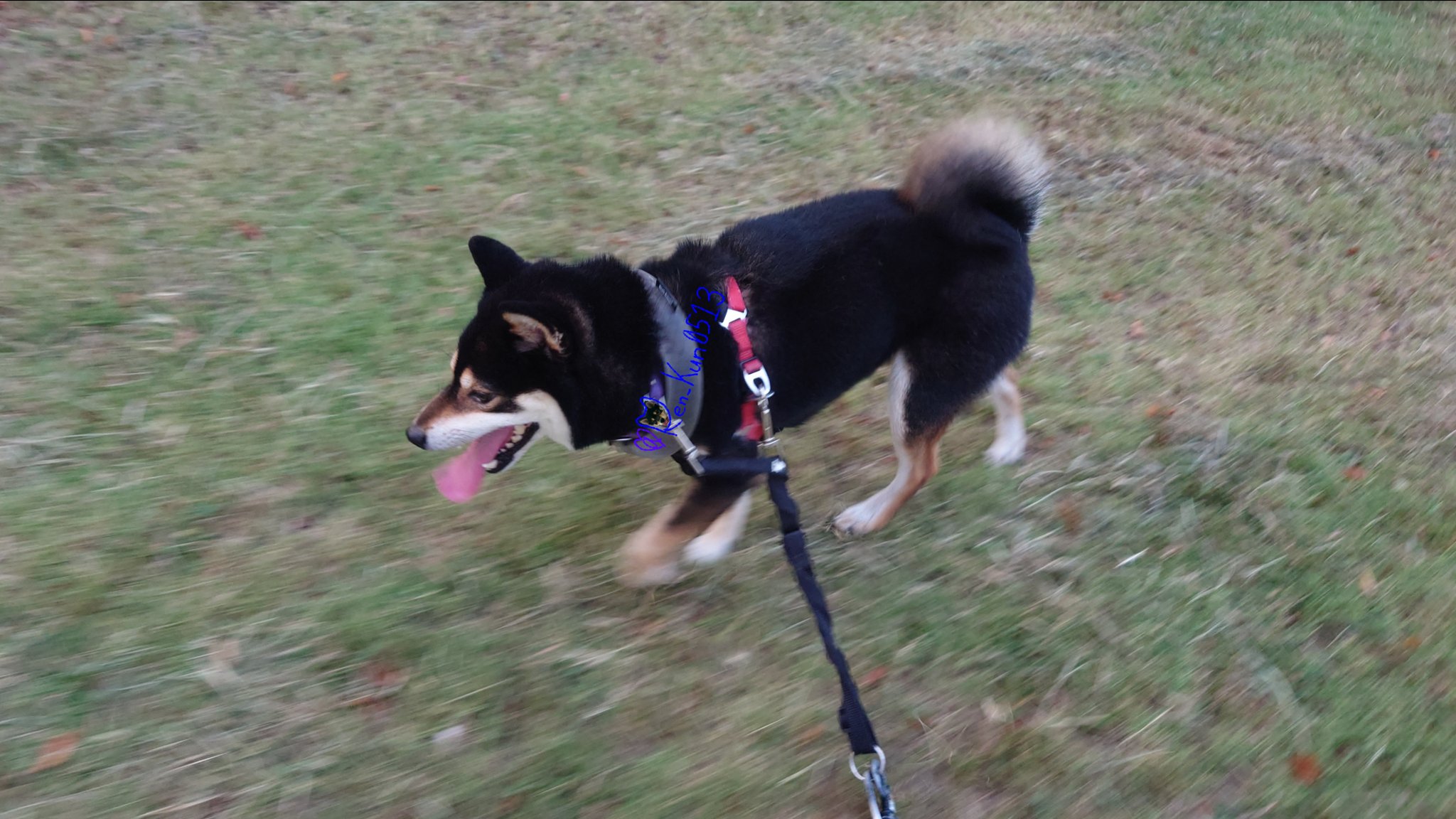 るんるん⚠️箱なし るんるん - Search / X