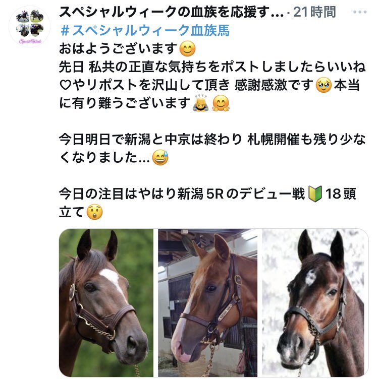 aya_3cha's tweet photo. 馬券になる馬だけ頑張ったと言えるのか？
個人的感想です

単勝1.7倍グランマエストロが8着に負けると手のひら返しのように全く触れない😓

[2､3着が多い血統]失礼な話です
3歳未勝利戦に勝てなければ競走を終えなければならない…騎手や厩舎関係者は一生懸命です
#グランマエストロ #ルメール騎手 https://t.co/MVna6LVj9C