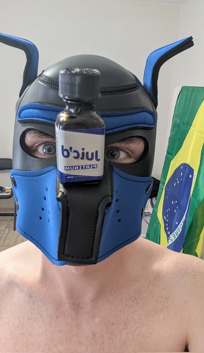 “A new wild Pokémon appeared!” 👀