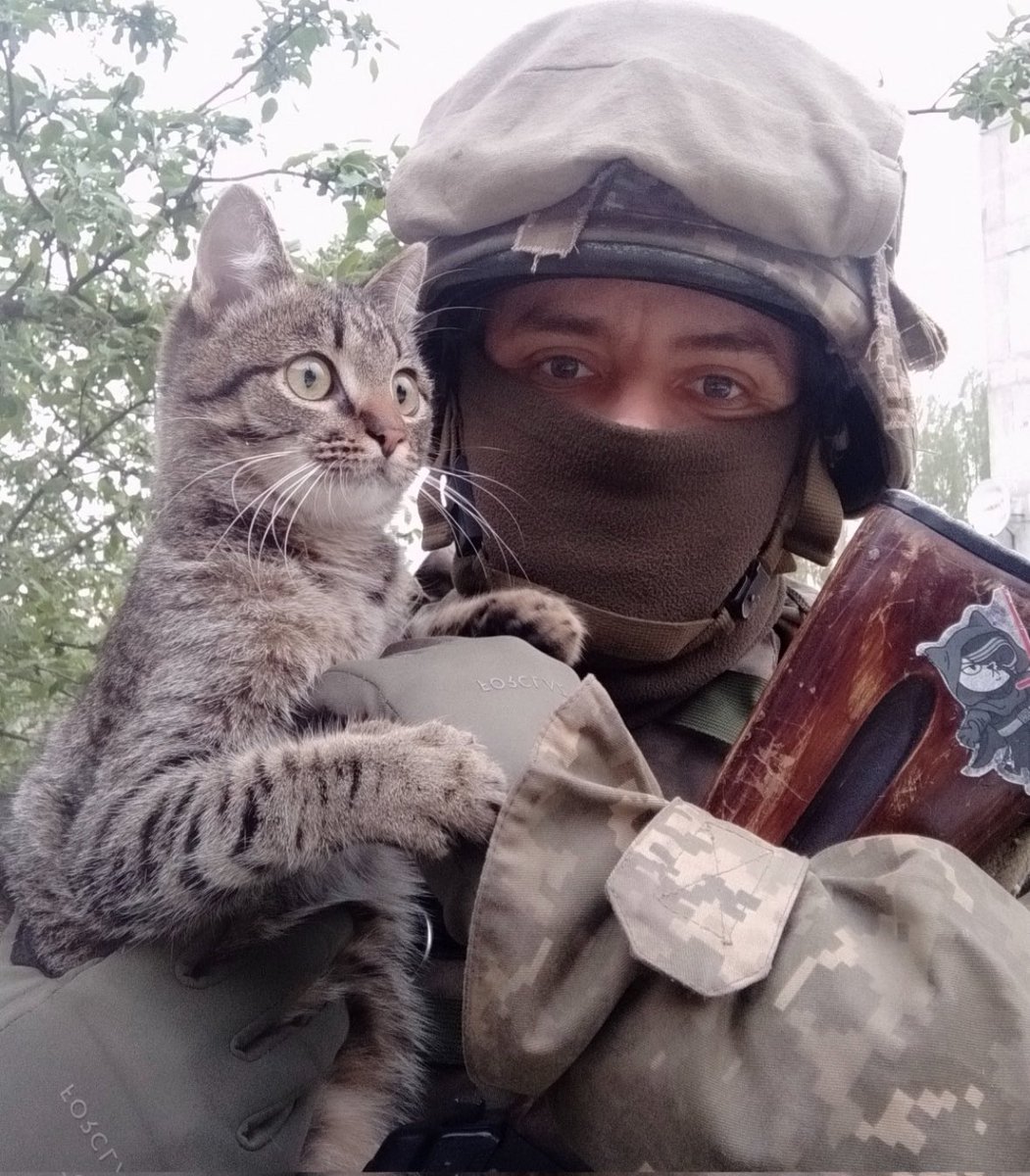 UkrARMY cats & dogs (@uaarmy_animals) on Twitter photo 