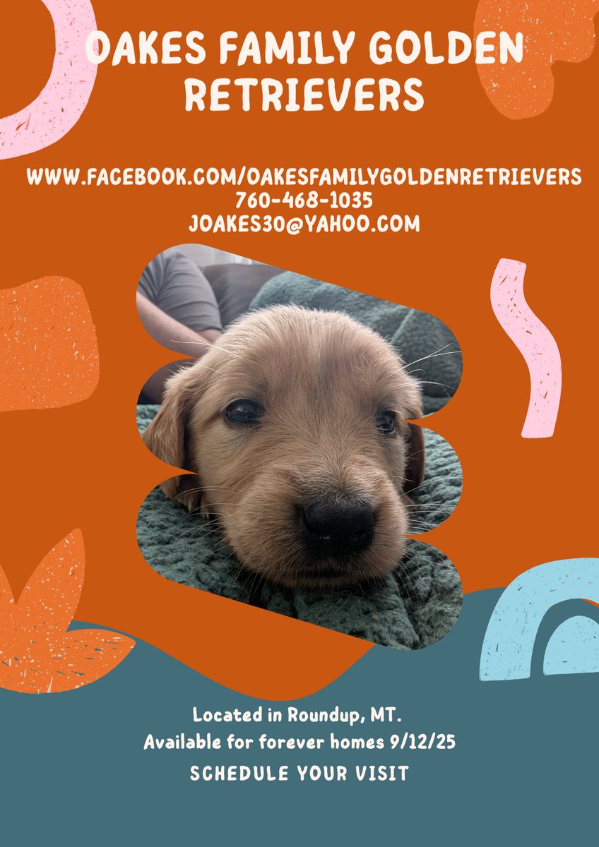 JasonPotfg's tweet image. 