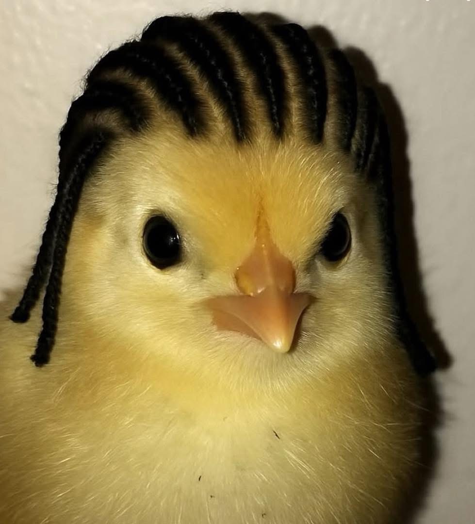 YungVTheProblem's tweet image. ???