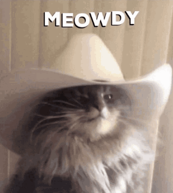 IKeepItInting's tweet photo. @_nineer meowdy https://t.co/EwpjxRZYvm