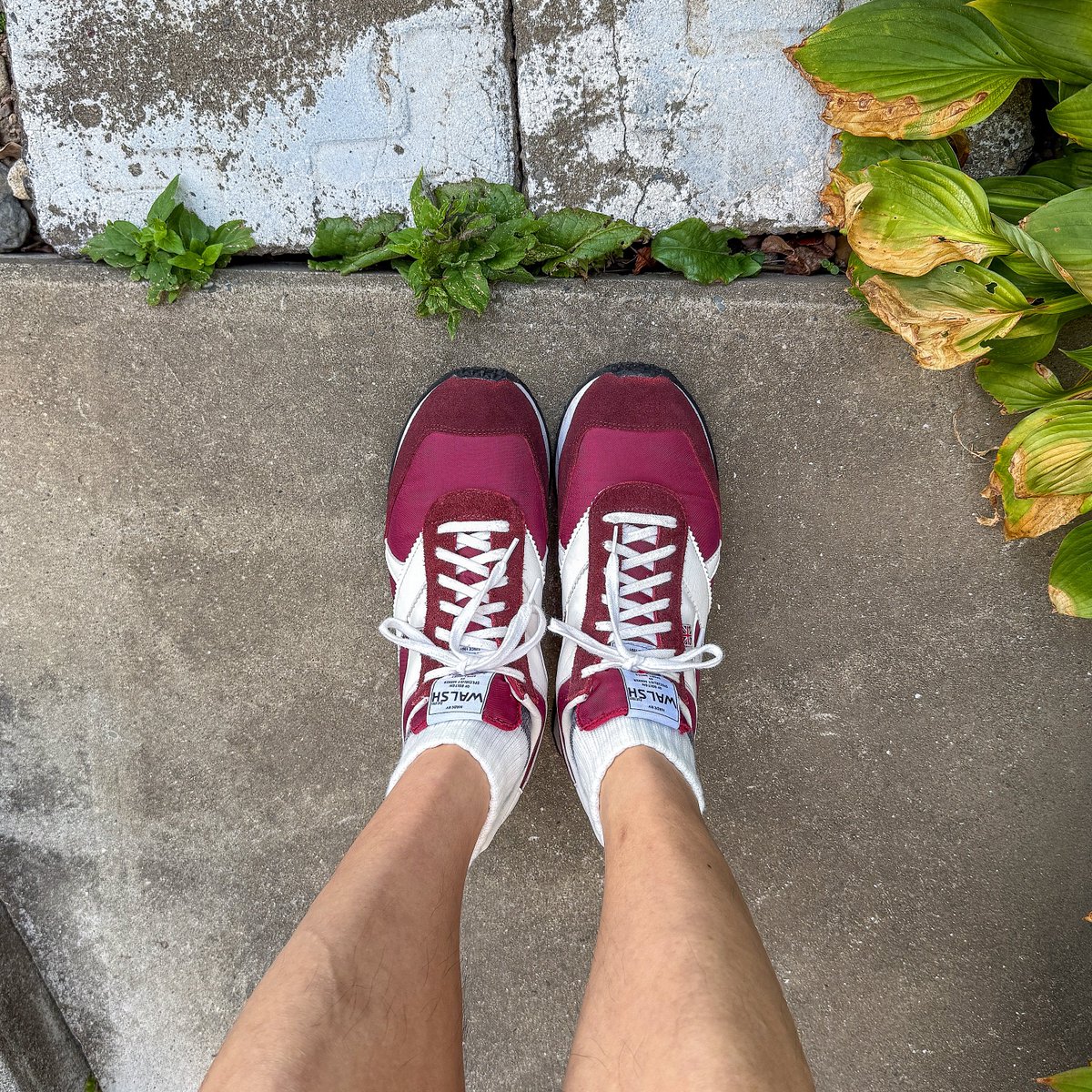 sthkzn's tweet image. Walsh

暑いのでなるべく涼しいうちに。

#walsh #shoes #sotd #shoesoftheday #ウォルシュ #今日の足元