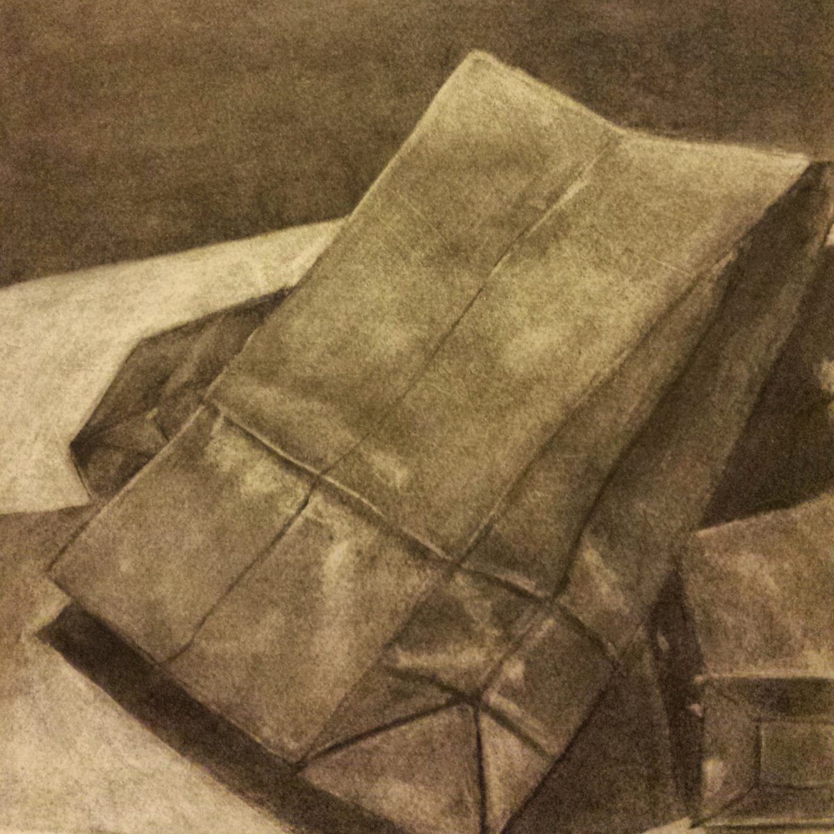 Who likes to draw? 

An older charcoal drawing I did ⬇️