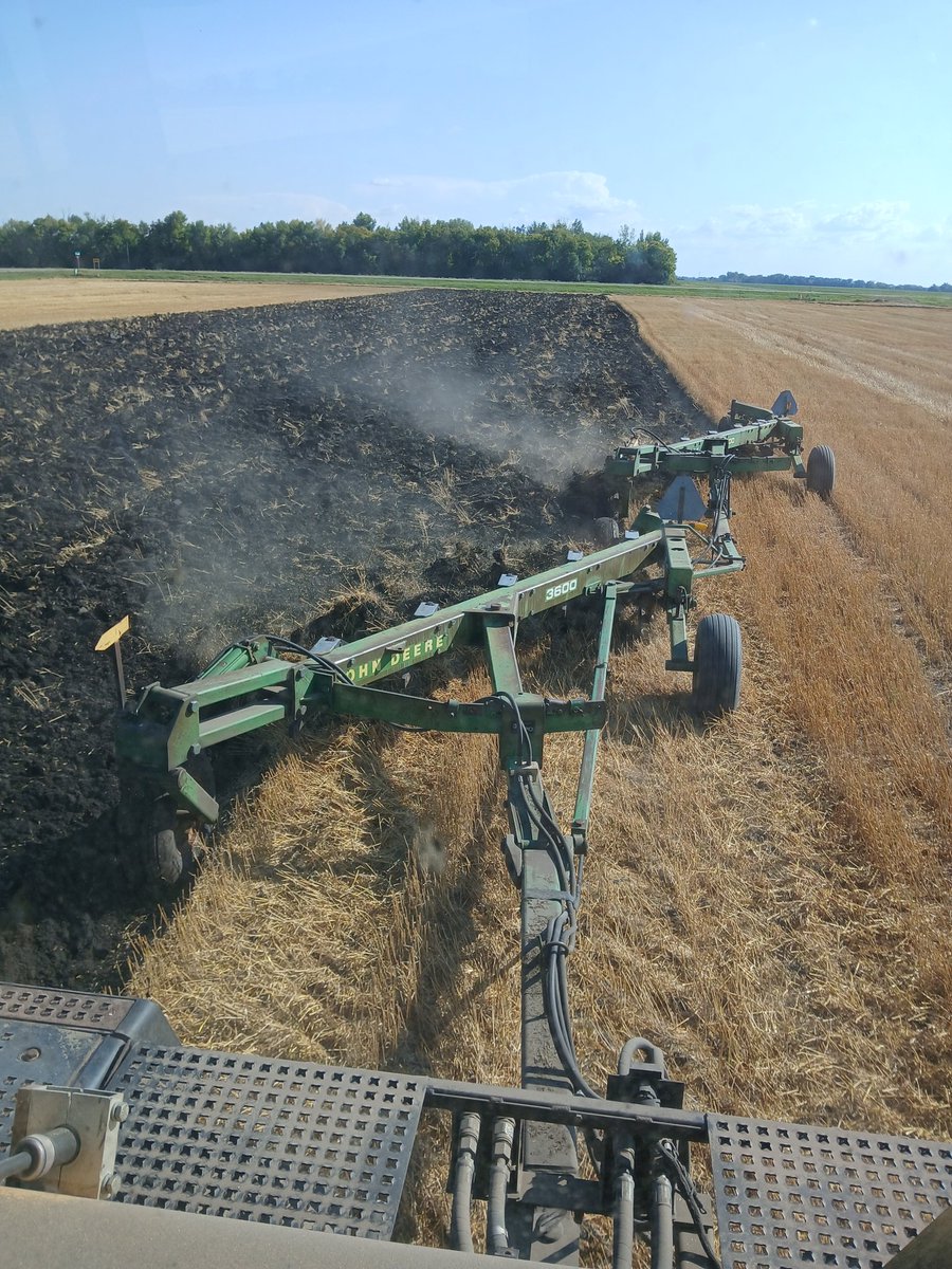 Nathan Wesolowski tweet media