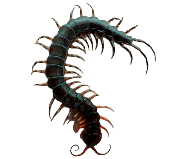 ABEJ0RRO's tweet photo. I have never known 𝐡𝐮𝐧𝐠𝐞𝐫 like these 𝐢𝐧𝐬𝐞𝐜𝐭𝐬 that feast on 𝒎𝒆. A thousand teeth and 𝐲𝐨𝐮𝐫𝐬 among them, I 𝒌𝒏𝒐𝒘. https://t.co/i5J1YwrOIr