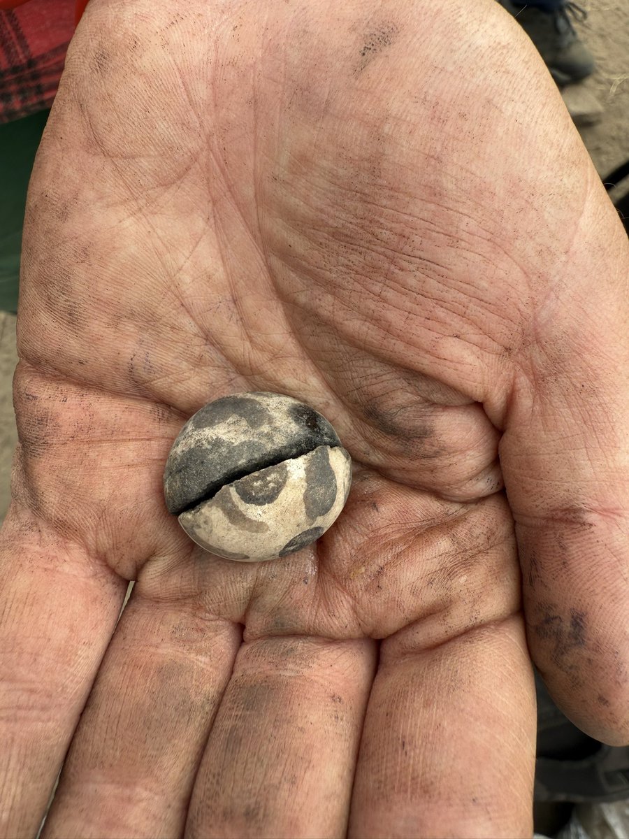 Northern Picts tweet media