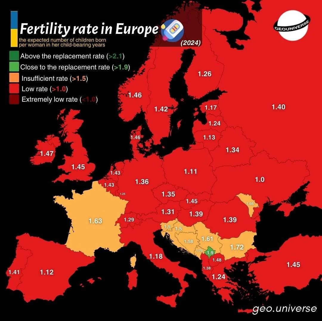 WallStreetMav's tweet photo. European politicians claim they need immigration because of declining birth rates in the native population. So they flood their countries with 3rd world migrants.

This make fertility even LOWER in the native population because of more competition for limited resources. Rents for apartments go higher. Taxes are higher to fund benefits for low skilled migrants.

The solution to reversing LOWER birth rates in Europe is to halt incoming migration and support mass deportations.