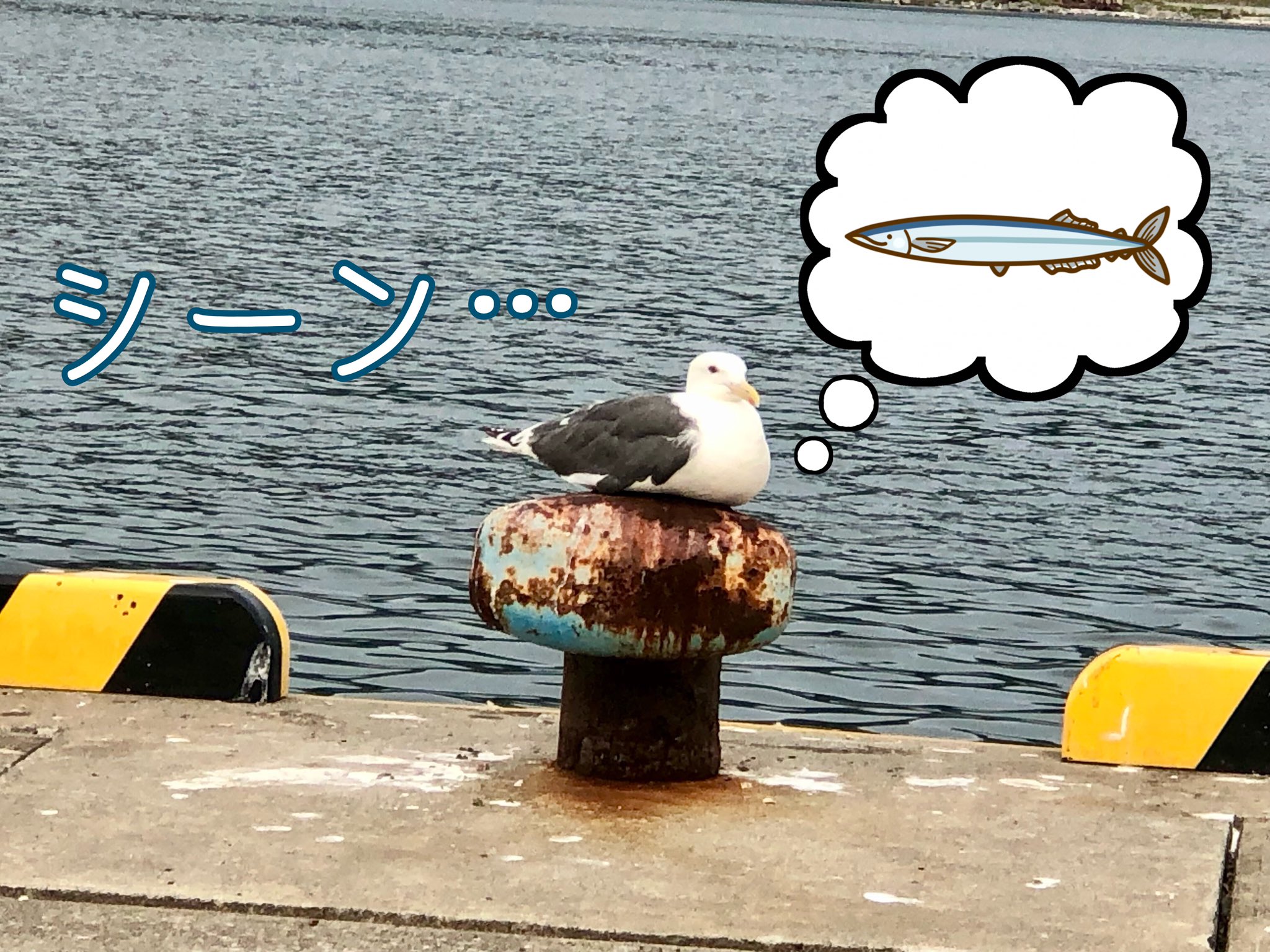 ニーコ　水辺の家と小鳥たち　シーグラス／天然石／自然／森 ニーコ 水辺の家と小鳥たち シーグラス／天然石／自然／森