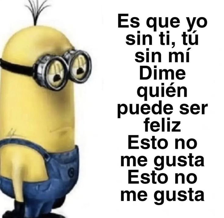 ailu ᥫ᭡ tweet media