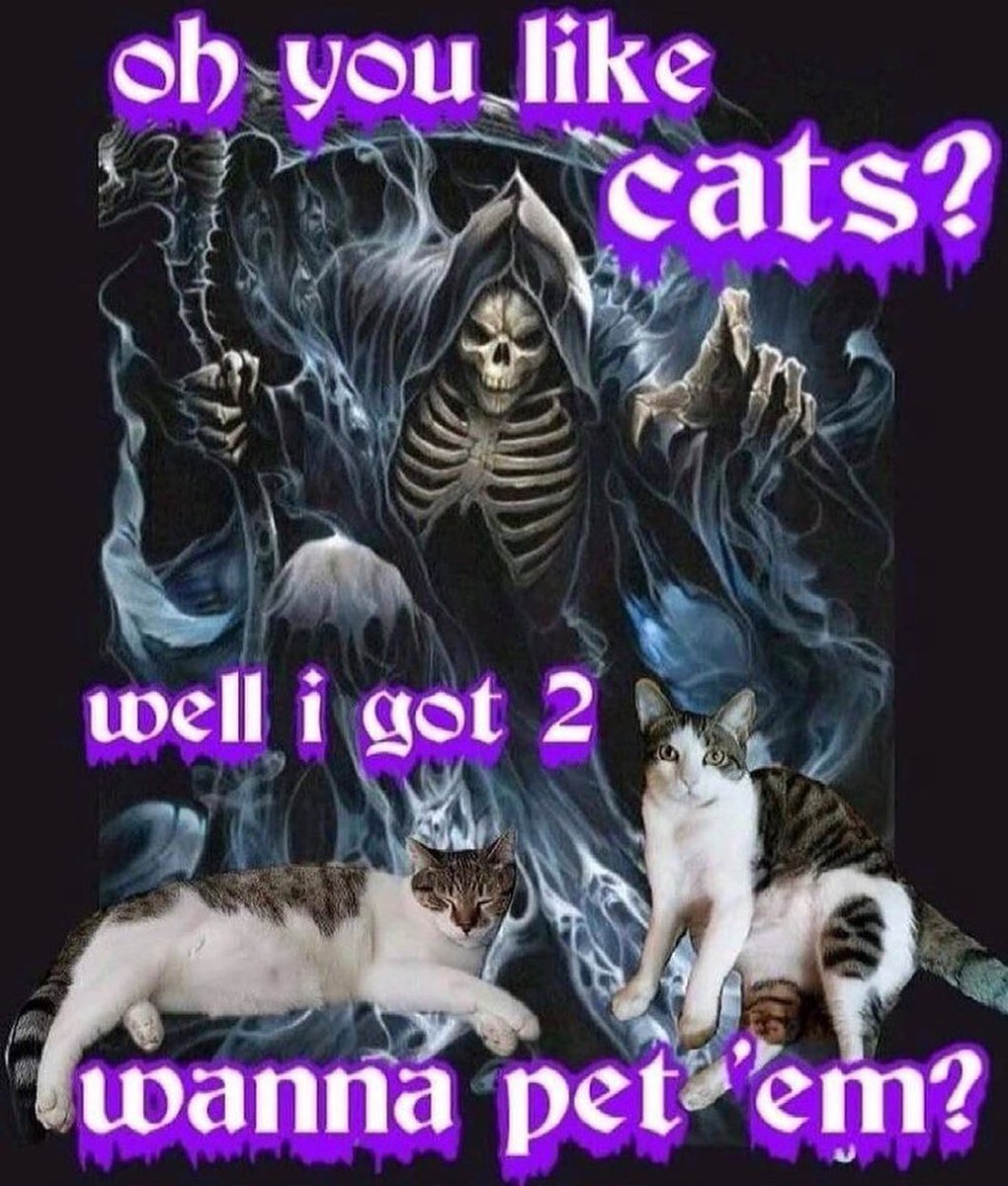 Punch Cat (@punchingcat) on Twitter photo 