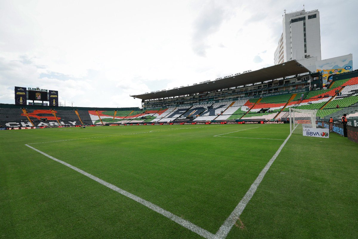WeAreTheQFC's tweet photo. 🏟️ The stage is set.

Let’s go.

#Los75DeGallos https://t.co/JypqaHqIyV