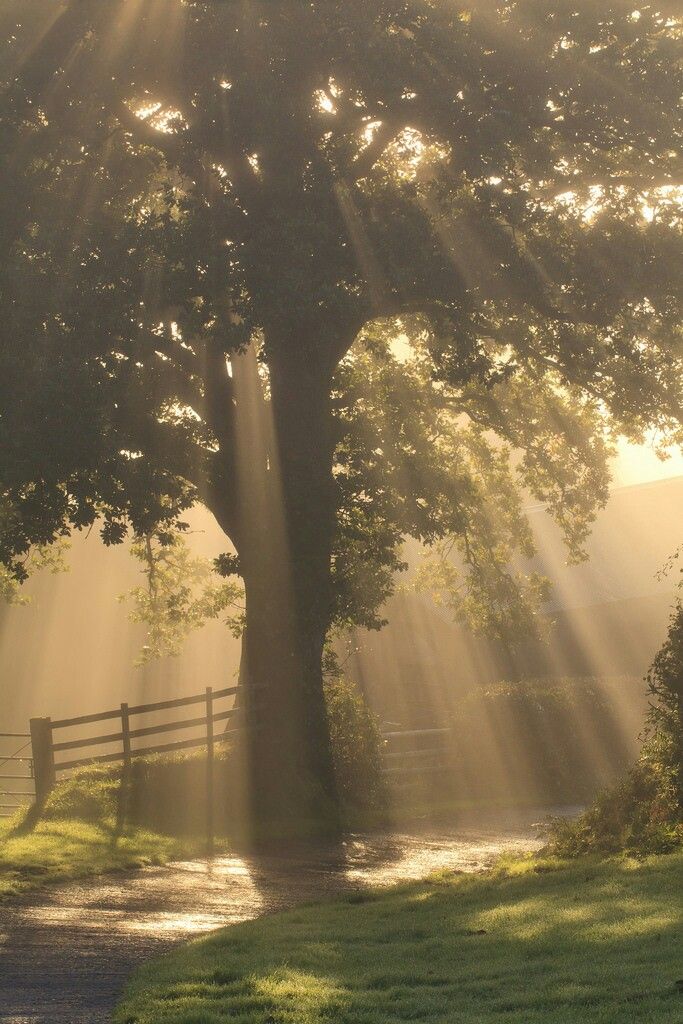 أيوة هو ده بالضبط