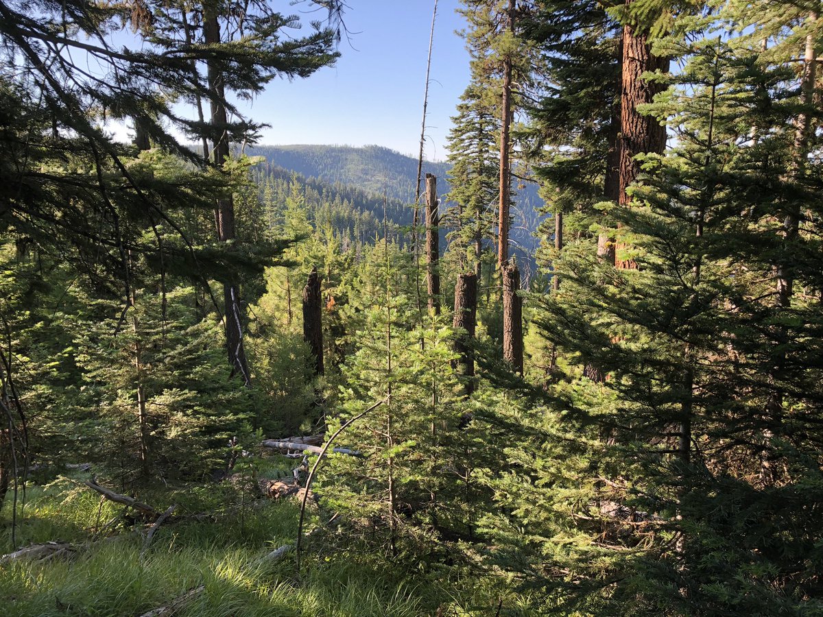 I’ll be off-grid in the backcountry for most of September with no connectivity. I’ll pop out occasionally for groceries, but otherwise I’ll be a rare sight here. Wishing you all well.