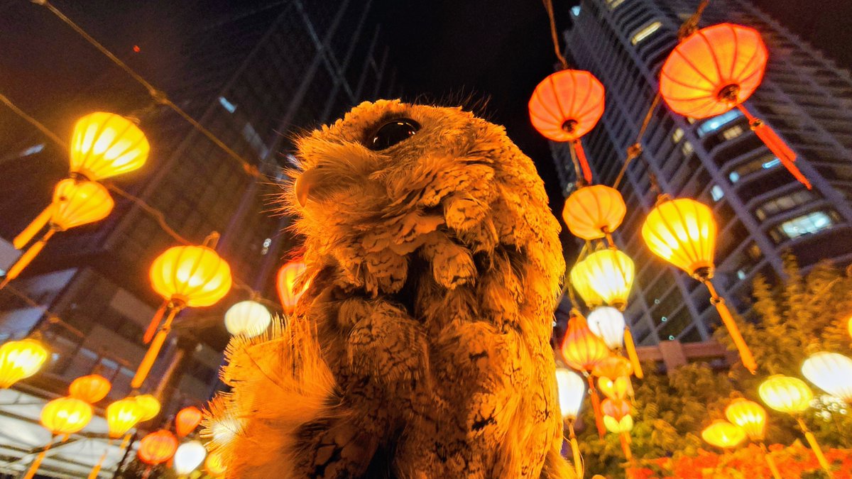 くまや洞窟★最強の縁切り★フクロウオルゴナイト くまや洞窟☆最強の縁切り☆フクロウオルゴナイト 最強金運♪幸運