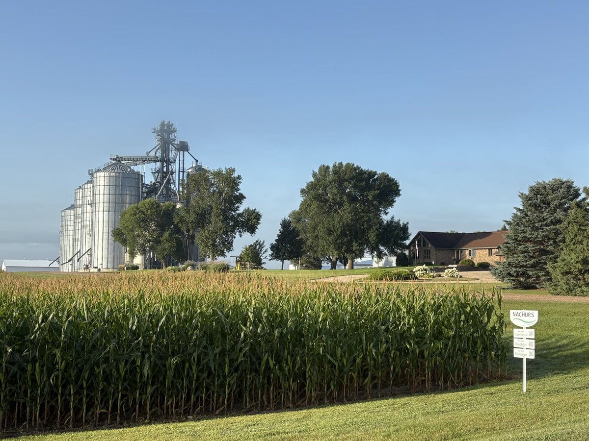 Ag_McQueen tweet media