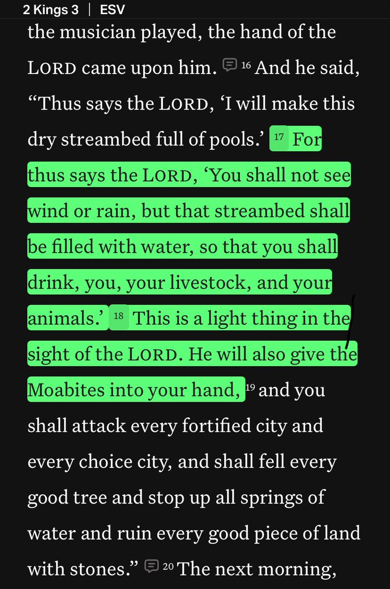 StepAid10's tweet image. 💭💭