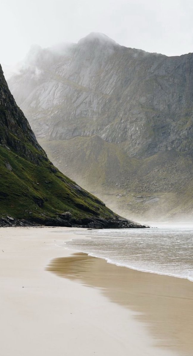 Coleen Guzman tweet media