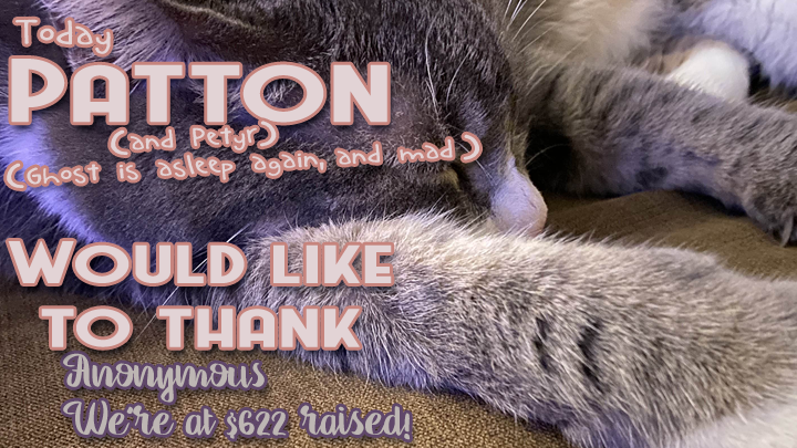 CRschilliger's tweet photo. Ahhh! I'm late posting this update, it should have gone out yesterday morning...
I still have funds to raise for the appointment that was on Tuesday but thanks so far everyone.
#CatsOfTwitter #GoFundMe #fundraising https://t.co/95HYYmDVqL