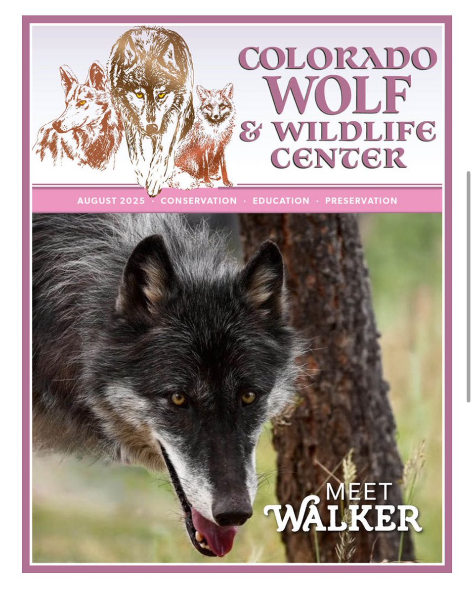 SamanthasLaw's tweet image. #CWWC wolfeducation.org